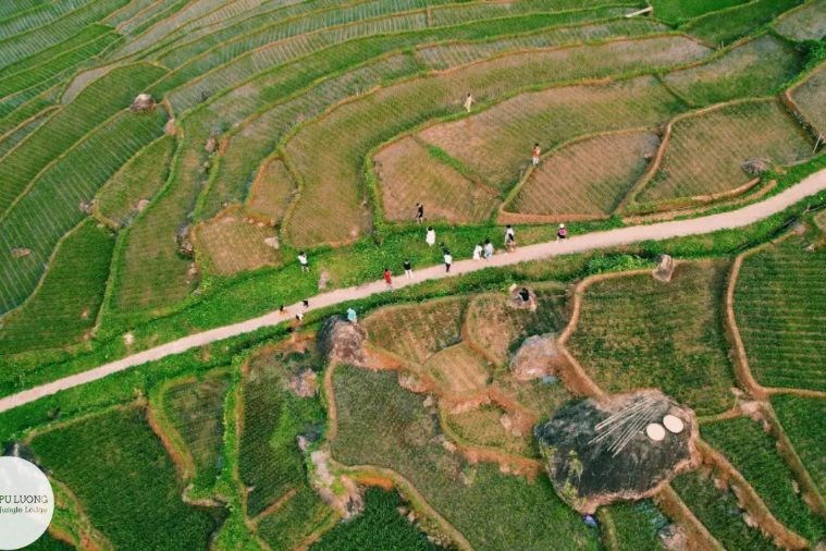 Pù Luông Jungle Lodge Thanh Hóa